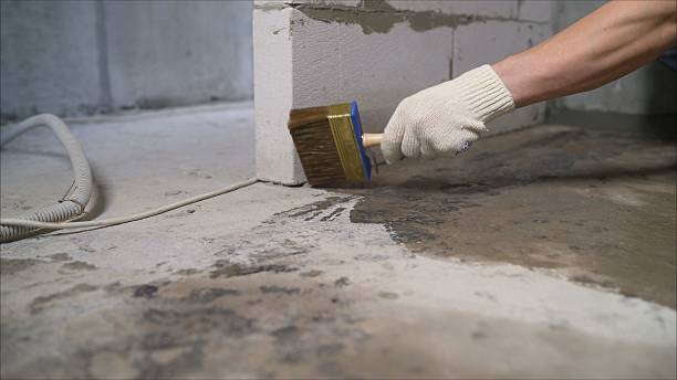Top rated local Crawl Space Encapsulation specialists in Erwin, NC
